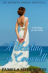 wedding_cornwall