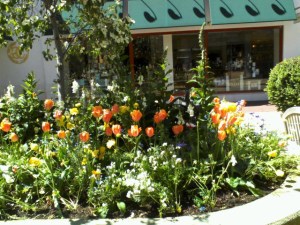 Resize_P04-19-13_11.49