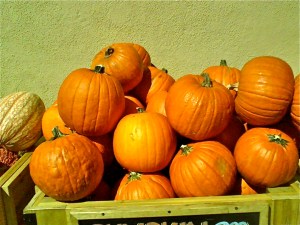 Pumpkins